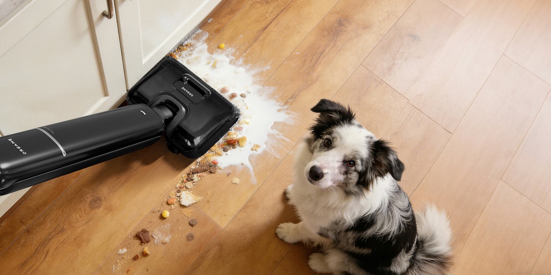 Photo vacuum leaks