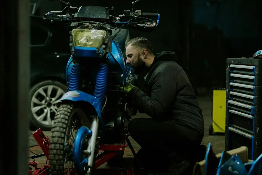 auto enthusiasts