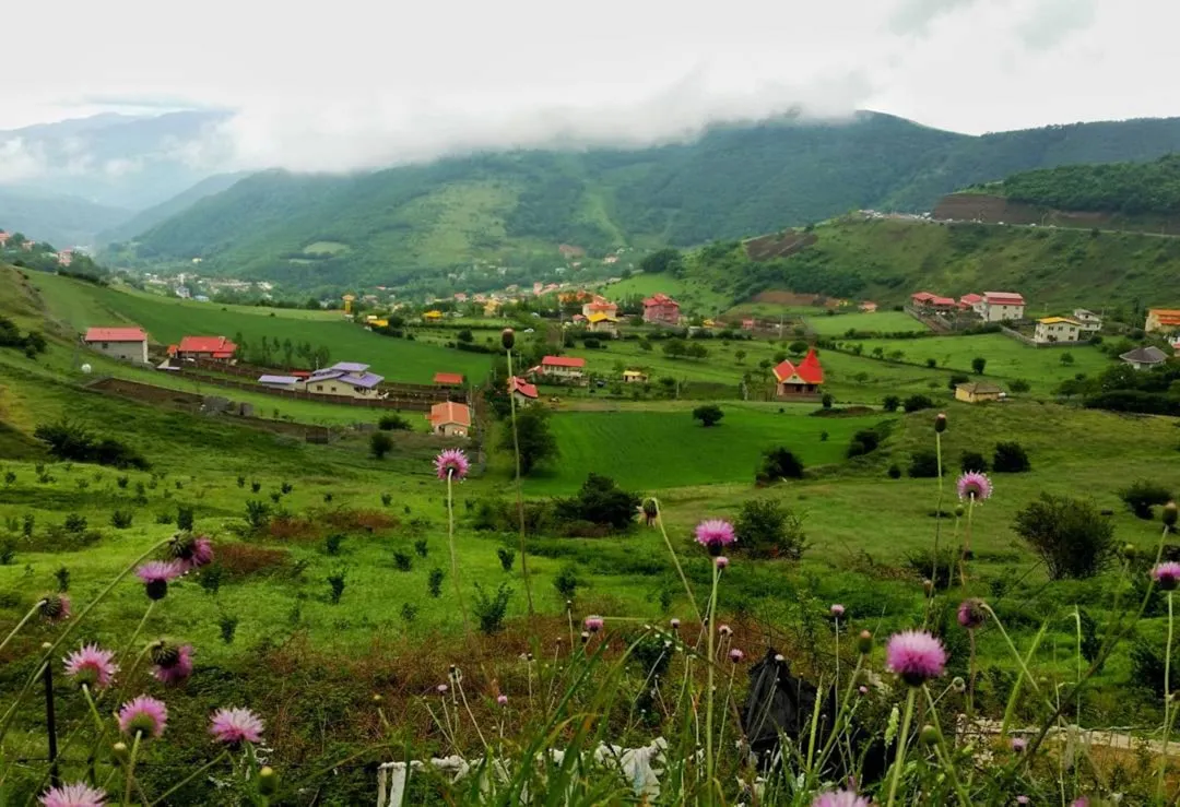 Photo garniturile de chiulasă ranforsate